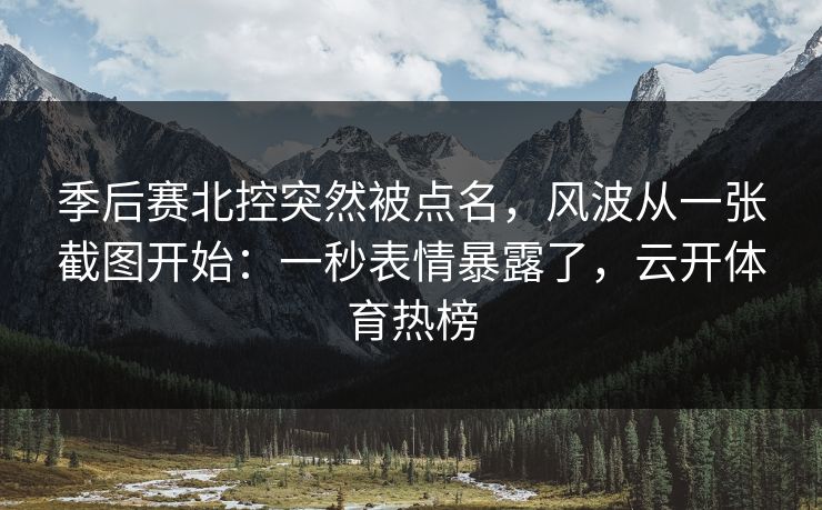 季后赛北控突然被点名，风波从一张截图开始：一秒表情暴露了，云开体育热榜